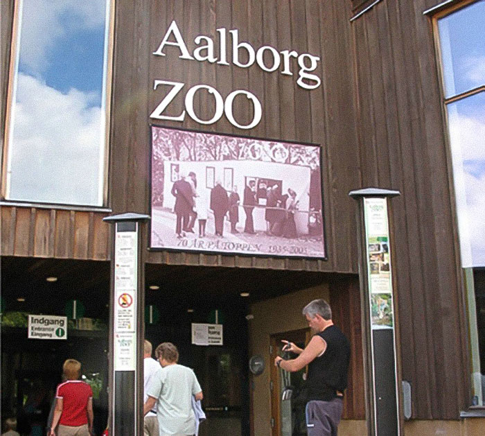 After Outrage, Woman Explains Why She Donated Her Daughter’s Pony To Zoo To Be Eaten By Lions