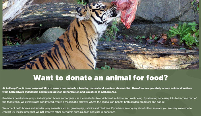 After Outrage, Woman Explains Why She Donated Her Daughter’s Pony To Zoo To Be Eaten By Lions