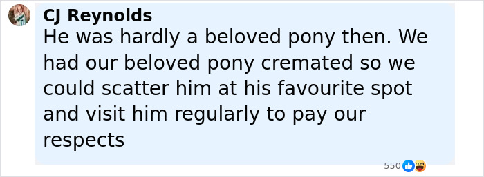 After Outrage, Woman Explains Why She Donated Her Daughter’s Pony To Zoo To Be Eaten By Lions