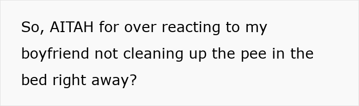 “Boyfriend Peed The Bed And Is Mad At Me For My Response”