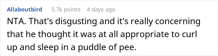 “Boyfriend Peed The Bed And Is Mad At Me For My Response”