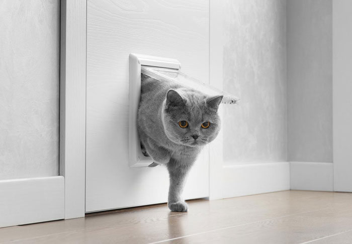 Handyman Installs New Cat Flap, Sends Customer Video, Gets Hilarious Response