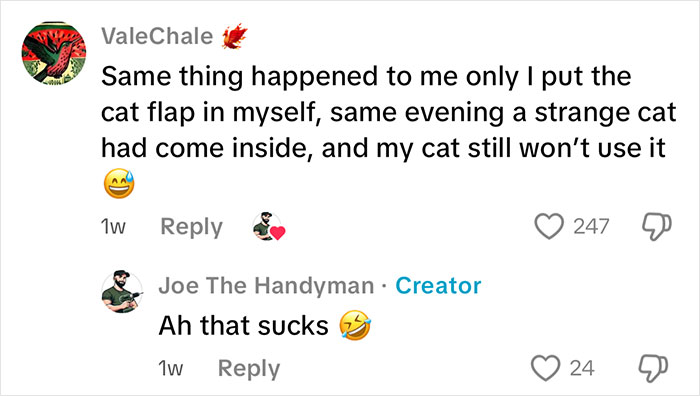 Handyman Installs New Cat Flap, Sends Customer Video, Gets Hilarious Response