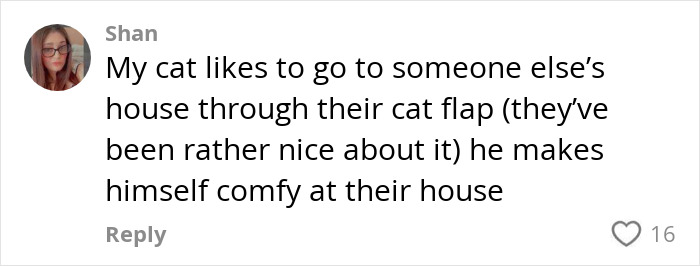 Handyman Installs New Cat Flap, Sends Customer Video, Gets Hilarious Response