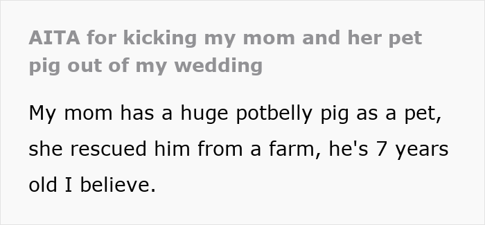 Mom Of The Bride Told She Can’t Bring Her Pet Pig To The Wedding, Does It Anyway And Ruins It