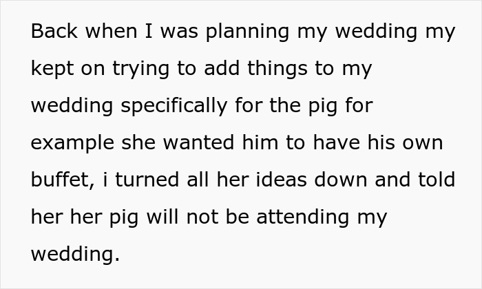 Mom Of The Bride Told She Can’t Bring Her Pet Pig To The Wedding, Does It Anyway And Ruins It