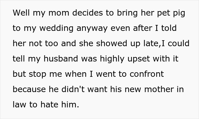 Mom Of The Bride Told She Can’t Bring Her Pet Pig To The Wedding, Does It Anyway And Ruins It