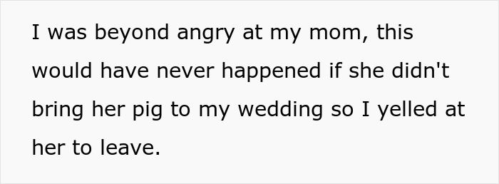Mom Of The Bride Told She Can’t Bring Her Pet Pig To The Wedding, Does It Anyway And Ruins It