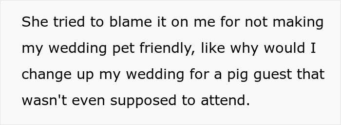 Mom Of The Bride Told She Can’t Bring Her Pet Pig To The Wedding, Does It Anyway And Ruins It