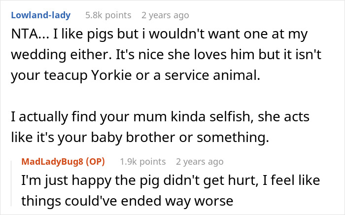 Mom Of The Bride Told She Can’t Bring Her Pet Pig To The Wedding, Does It Anyway And Ruins It