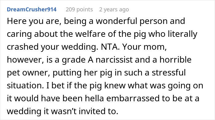 Mom Of The Bride Told She Can’t Bring Her Pet Pig To The Wedding, Does It Anyway And Ruins It