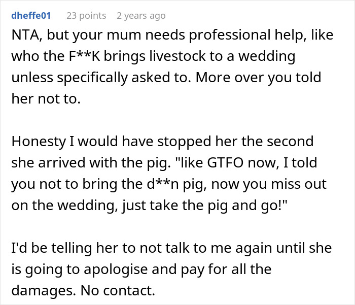 Mom Of The Bride Told She Can’t Bring Her Pet Pig To The Wedding, Does It Anyway And Ruins It