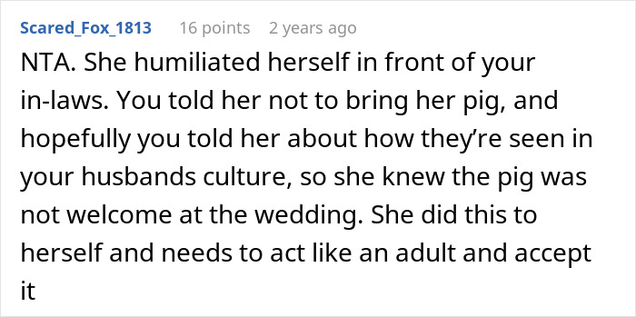 Mom Of The Bride Told She Can’t Bring Her Pet Pig To The Wedding, Does It Anyway And Ruins It