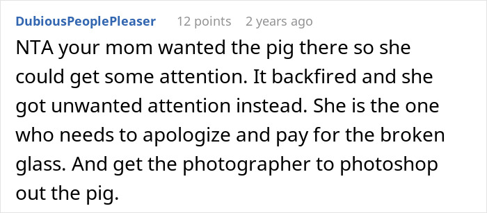 Mom Of The Bride Told She Can’t Bring Her Pet Pig To The Wedding, Does It Anyway And Ruins It