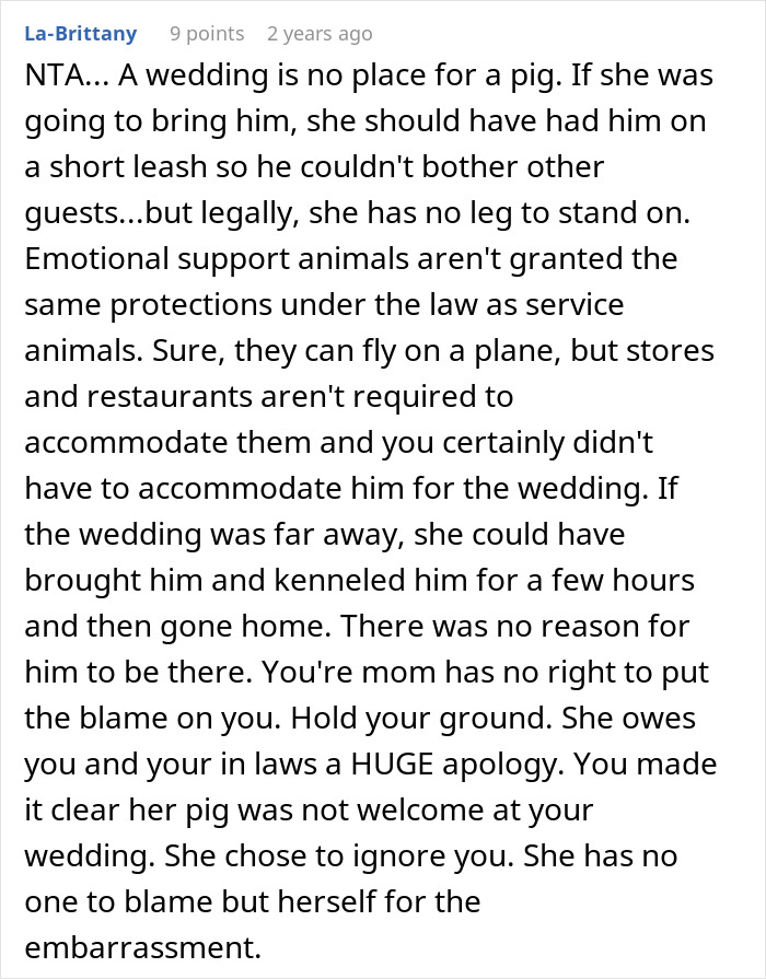 Mom Of The Bride Told She Can’t Bring Her Pet Pig To The Wedding, Does It Anyway And Ruins It