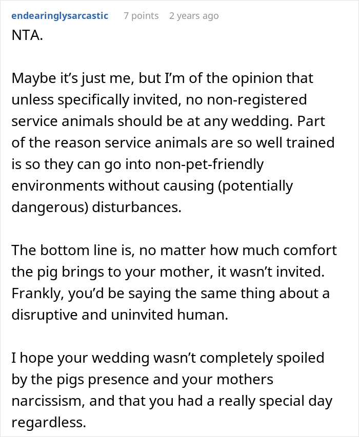 Mom Of The Bride Told She Can’t Bring Her Pet Pig To The Wedding, Does It Anyway And Ruins It