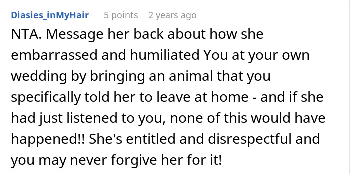 Mom Of The Bride Told She Can’t Bring Her Pet Pig To The Wedding, Does It Anyway And Ruins It