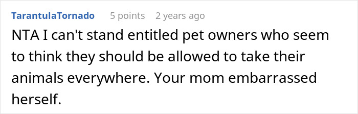 Mom Of The Bride Told She Can’t Bring Her Pet Pig To The Wedding, Does It Anyway And Ruins It