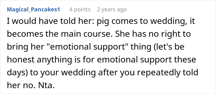 Mom Of The Bride Told She Can’t Bring Her Pet Pig To The Wedding, Does It Anyway And Ruins It