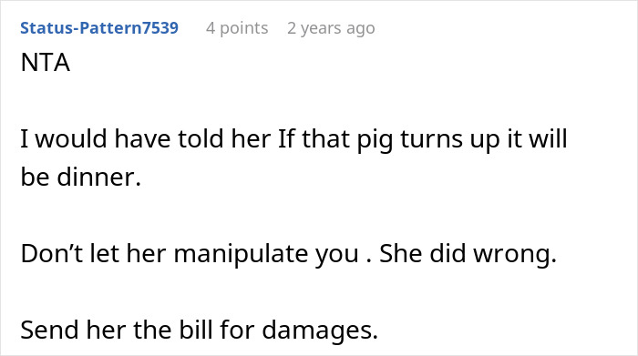 Mom Of The Bride Told She Can’t Bring Her Pet Pig To The Wedding, Does It Anyway And Ruins It