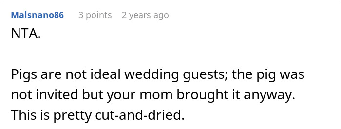 Mom Of The Bride Told She Can’t Bring Her Pet Pig To The Wedding, Does It Anyway And Ruins It