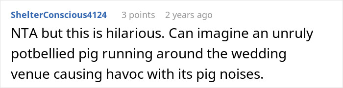 Mom Of The Bride Told She Can’t Bring Her Pet Pig To The Wedding, Does It Anyway And Ruins It