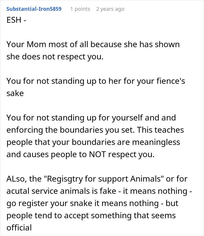 Mom Of The Bride Told She Can’t Bring Her Pet Pig To The Wedding, Does It Anyway And Ruins It