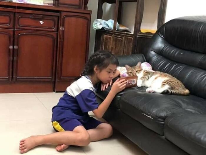 37 Hilarious Cat Moments Caught On Camera, As Shared By “Important Animal Images” (New Pics)