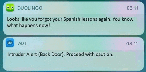 Hey Pandas, Post Your Favorite Clean Meme