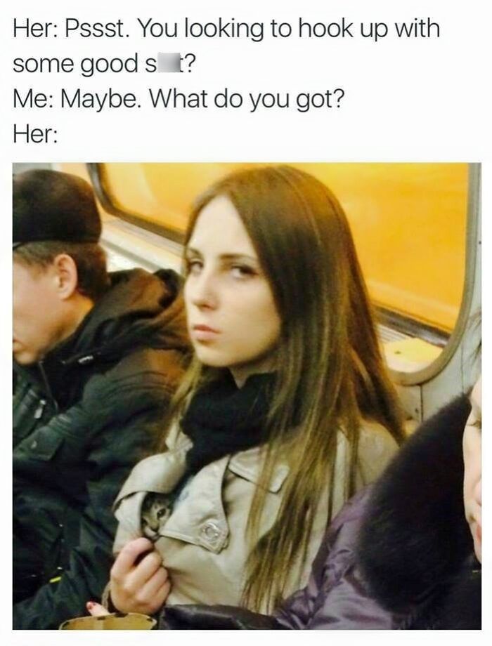 Hey Pandas, Post Your Favorite Clean Meme
