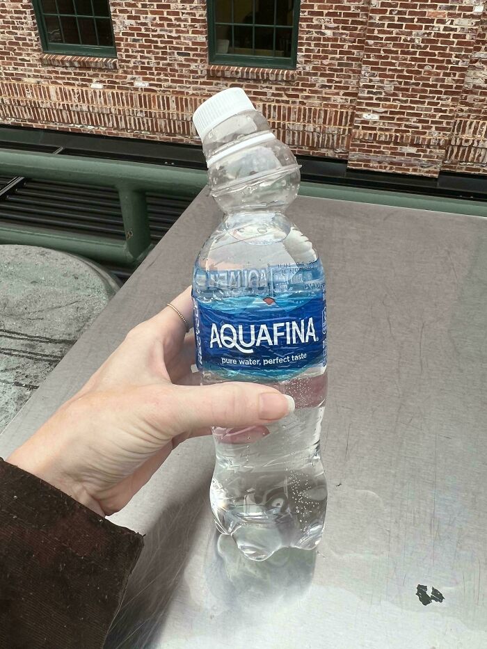 53 Pics Of The Hot Mess That This Year&#8217;s Heatwaves Served All Around The World
