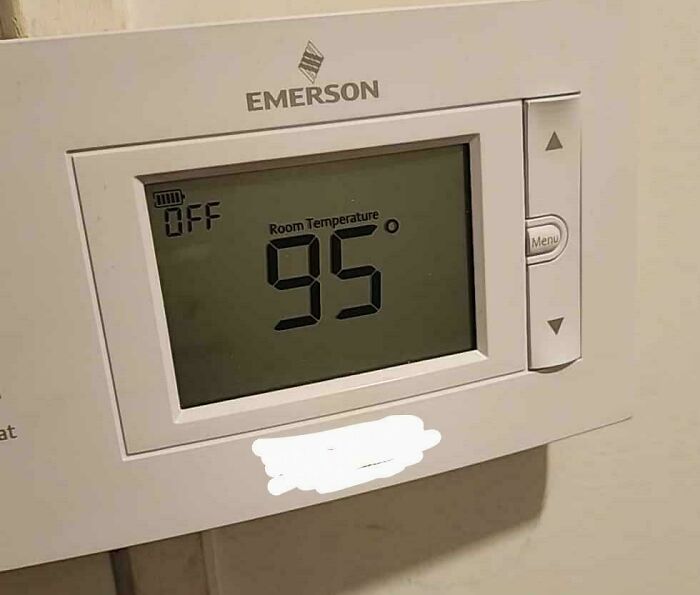 53 Pics Of The Hot Mess That This Year&#8217;s Heatwaves Served All Around The World