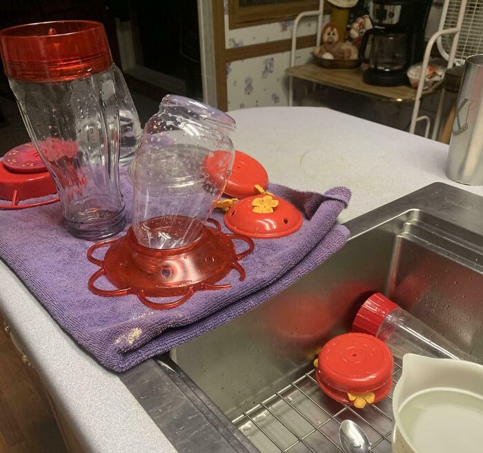 53 Pics Of The Hot Mess That This Year&#8217;s Heatwaves Served All Around The World