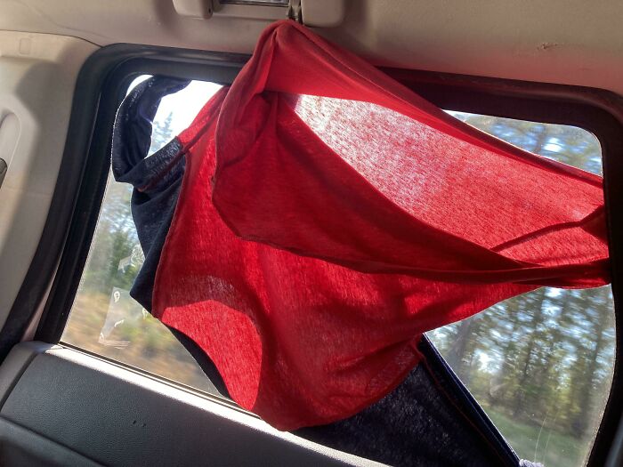 53 Pics Of The Hot Mess That This Year&#8217;s Heatwaves Served All Around The World