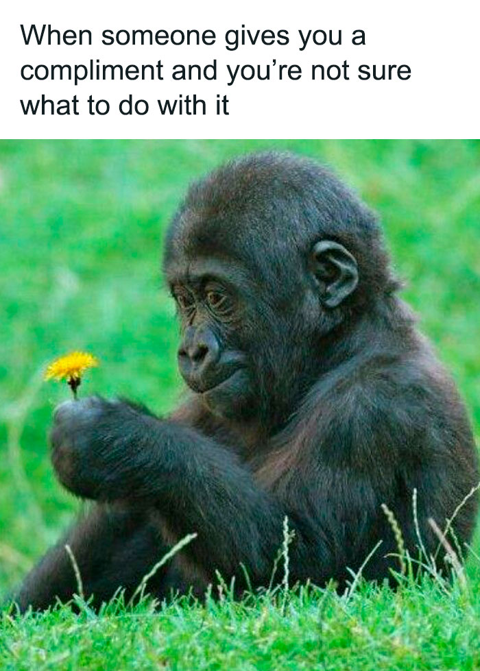 72 Funny Random Pics For People Who Are Fluent In Internet Humor