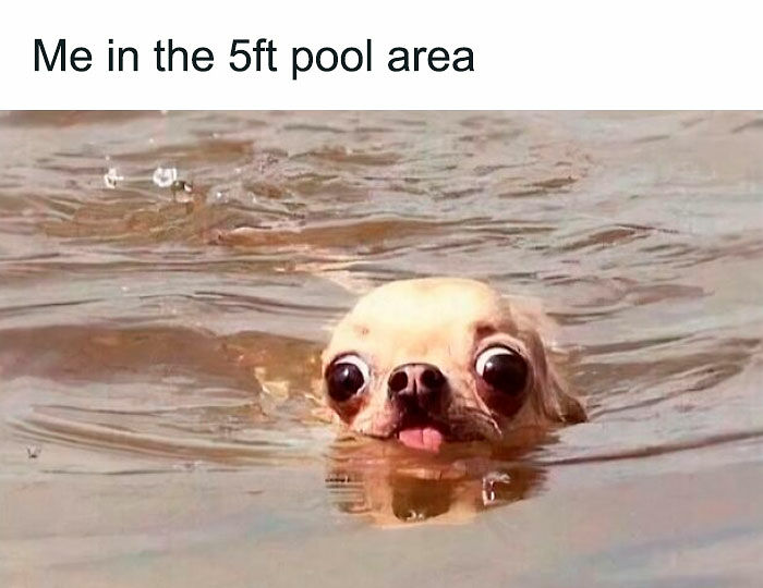 72 Funny Random Pics For People Who Are Fluent In Internet Humor