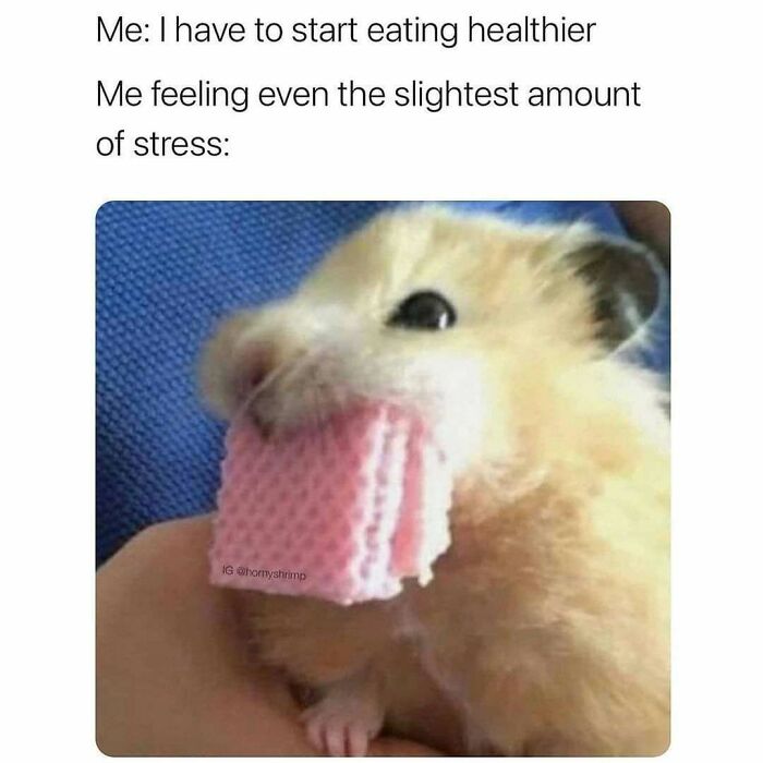 72 Funny Random Pics For People Who Are Fluent In Internet Humor