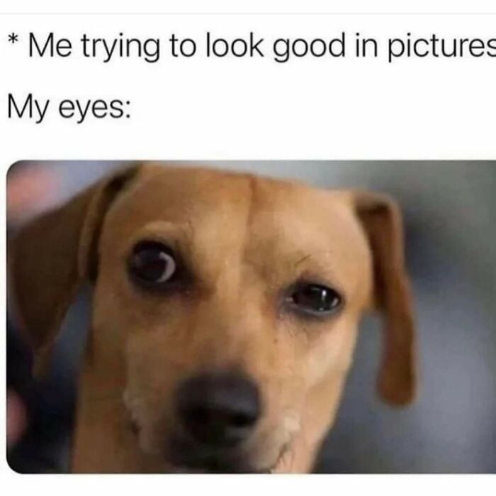 72 Funny Random Pics For People Who Are Fluent In Internet Humor