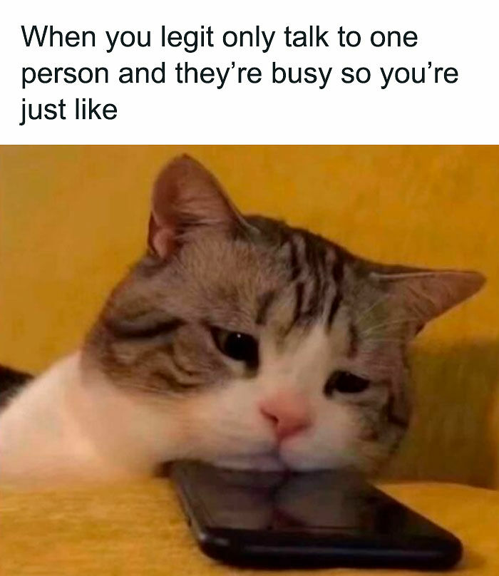 72 Funny Random Pics For People Who Are Fluent In Internet Humor