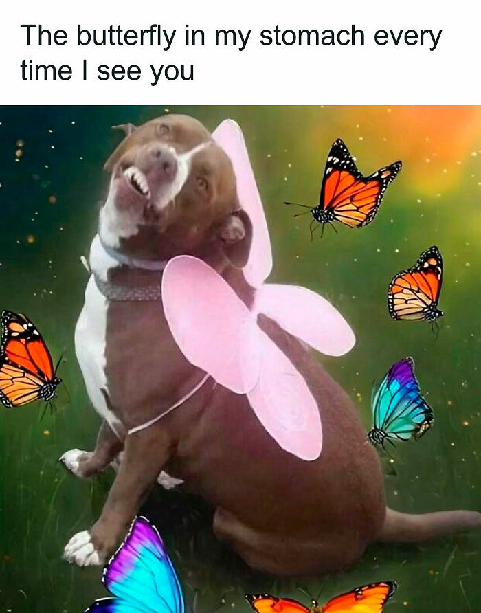 72 Funny Random Pics For People Who Are Fluent In Internet Humor