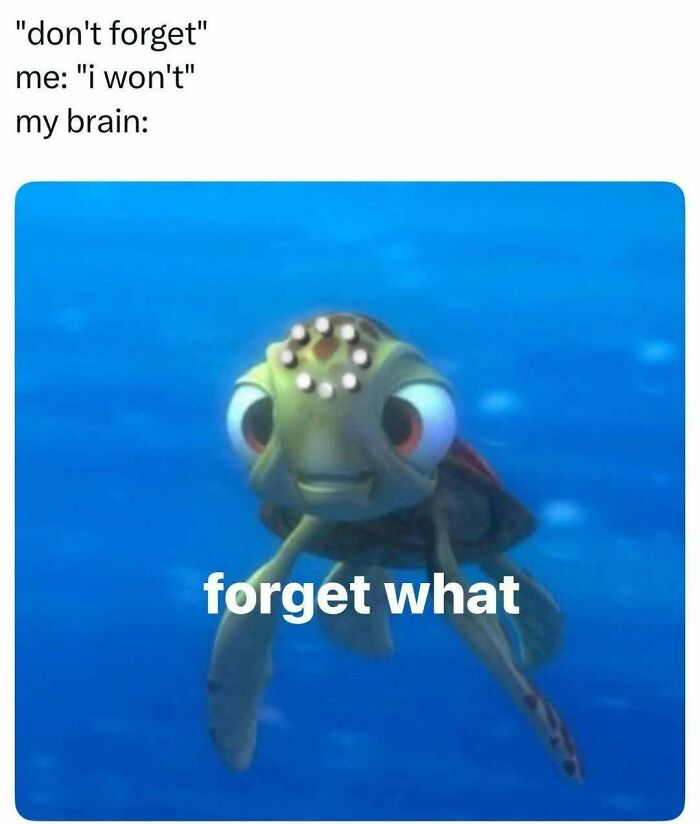 72 Funny Random Pics For People Who Are Fluent In Internet Humor