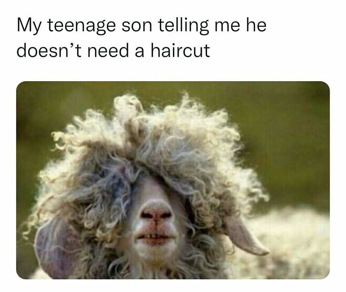 72 Funny Random Pics For People Who Are Fluent In Internet Humor