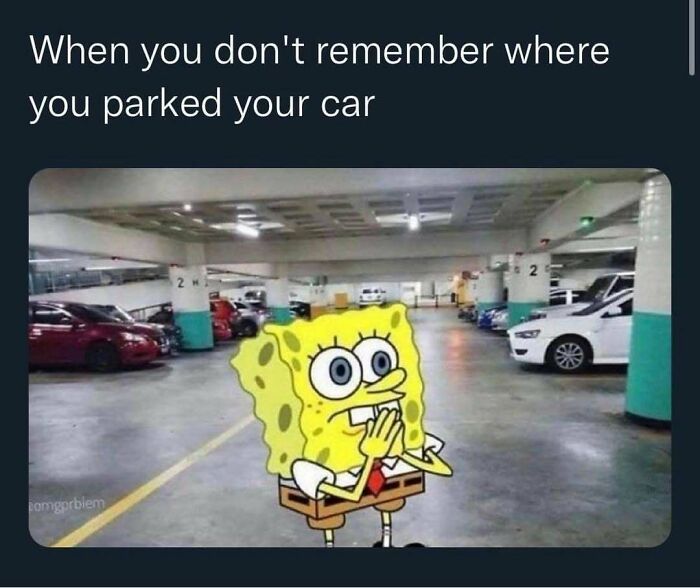 72 Funny Random Pics For People Who Are Fluent In Internet Humor