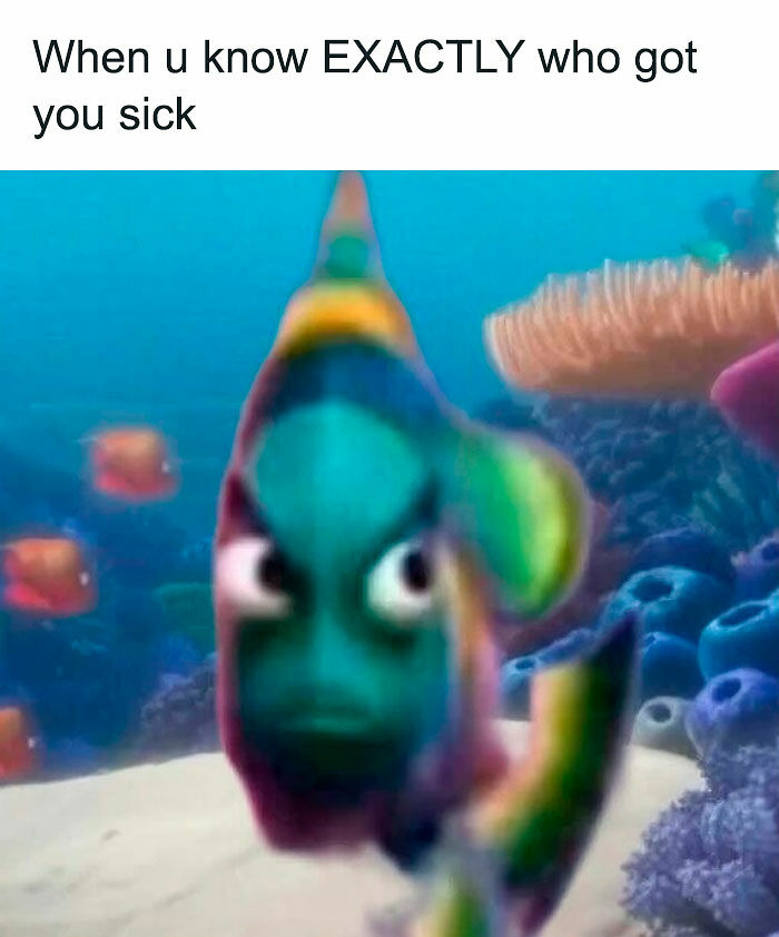72 Funny Random Pics For People Who Are Fluent In Internet Humor