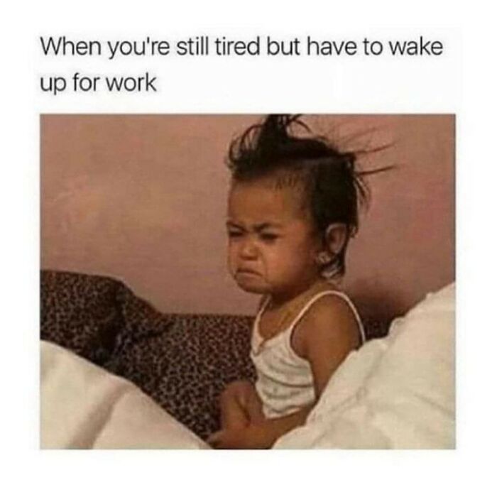 72 Funny Random Pics For People Who Are Fluent In Internet Humor