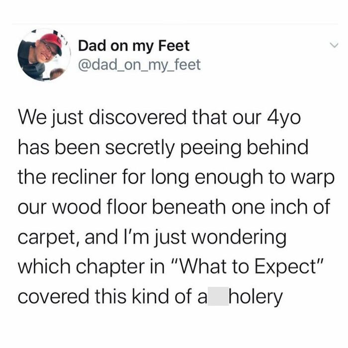 96 Funny Parenting Memes About Things No Parenting Book Can Teach (New Pics)