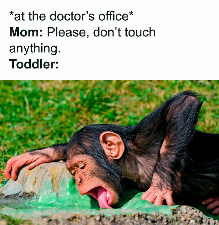 96 Funny Parenting Memes About Things No Parenting Book Can Teach (New Pics)