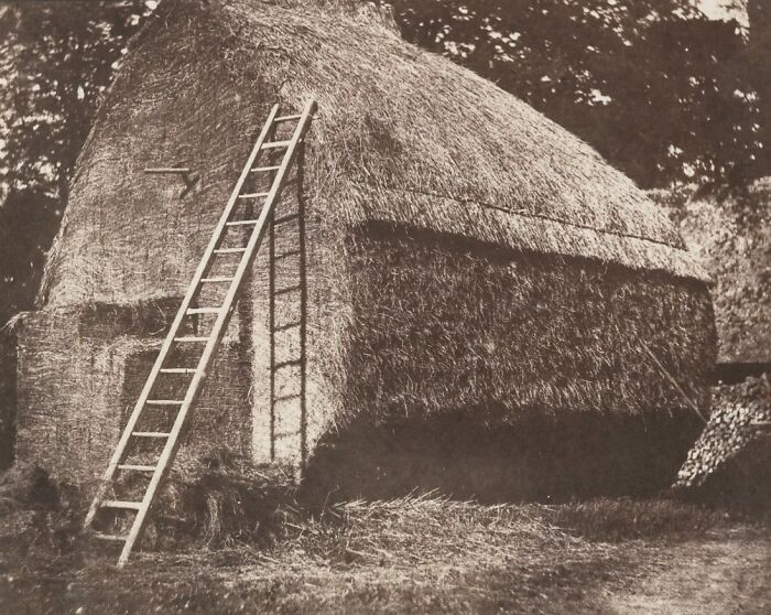 36 Invaluable Photos From The 19th Century That Made History Come Alive