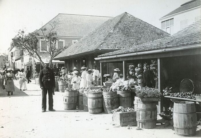 36 Invaluable Photos From The 19th Century That Made History Come Alive