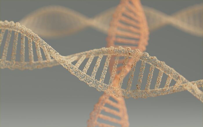 Critical Point When Your Body Starts To Age Rapidly Found In New Study